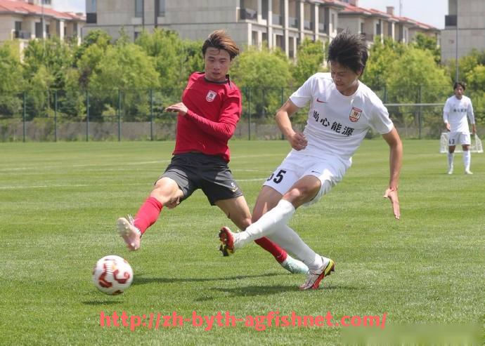 AG捕鱼王官网-法甲球员技能数据详解及训练效果量化分析